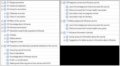 Influenza vaccine uptake in Tunisia from two high-risk groups’ perception and attitudes: a qualitative study